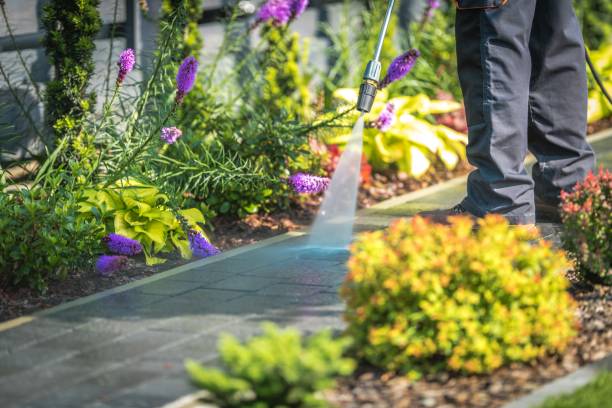 Best Pre-Holiday Cleaning  in West Branch, MI