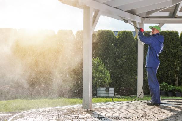 Best Driveway Pressure Washing  in West Branch, MI