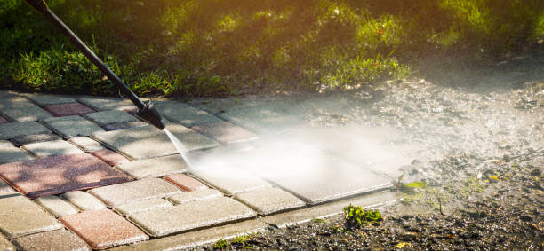 Best Rust Removal  in West Branch, MI